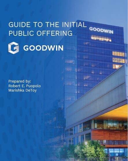 Guide to the Initial Public Offering cover featuring Goodwin building at twilight.